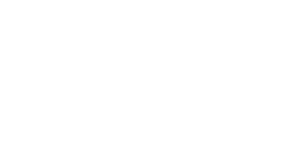 tordila copy